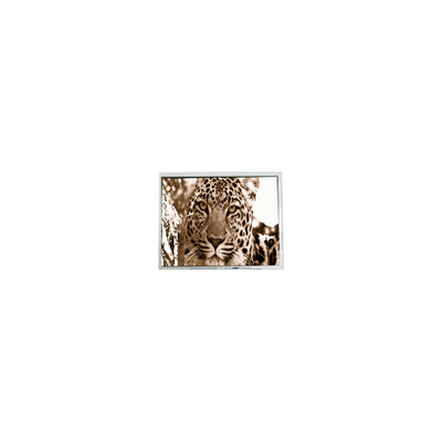 ভালো দাম PM070WM2 7.0 ইঞ্চি 800 * 480 পোর্টেবল ডিভিডি প্লেয়ারের জন্য এলসিডি স্ক্রিন অনলাইন
