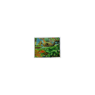 ভালো দাম মূল 800*480 5.0 ইঞ্চি AM-800480NGTZQW-01H 45 পিন WLED এলসিডি স্ক্রিন প্যানেল অনলাইন