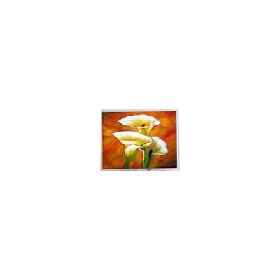 ভালো দাম T-55694D106J-LW-A-AAN 10.6 ইঞ্চি 1280 * 768 1000 সিডি / মি 2 এলসিডি স্ক্রিন প্রদর্শন অনলাইন