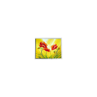 ভালো দাম 800*480 T-55711D080J-LW-A-AAN 8.0 ইঞ্চি 1000 সিডি / মি 2 এলসিডি ডিসপ্লে অনলাইন