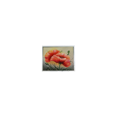 ভালো দাম নতুন 7.0 ইঞ্চি ETM070001BDHA 800*480 PCAP LCD স্ক্রিন মডিউল অনলাইন