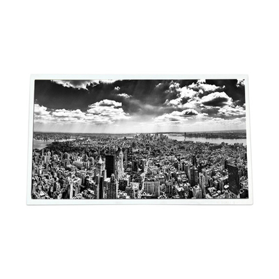 ভালো দাম HOT SELL 21.5 ইঞ্চি P215HZN02.0 এলসিডি স্ক্রিন ডিজিটাল সিগনেজ জন্য অনলাইন