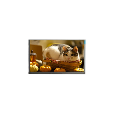 ভালো দাম N140BGE-P23 14.0 ইঞ্চি 60Hz 262K এলসিডি প্যানেল ডিসপ্লে স্ক্রিন অনলাইন