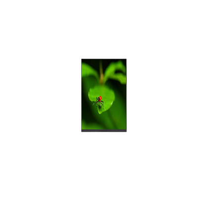 ভালো দাম P080KDA-AF1 8.0 ইঞ্চি 1200*1920 415 সিডি/মি2 এলসিডি প্যানেল মনিটর অনলাইন