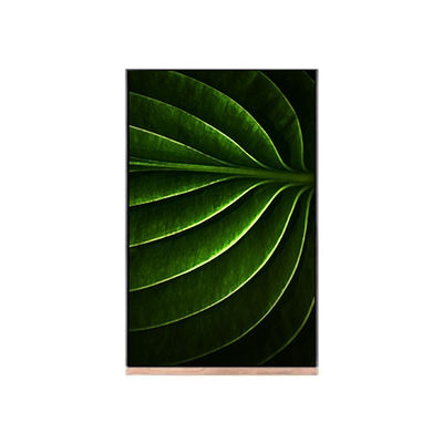 ভালো দাম এলসিডি মডিউল NV101WUM-N53 এর জন্য 10.1 ইঞ্চি এলসিডি স্ক্রিন অনলাইন