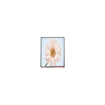 ভালো দাম নতুন 720*1280 C050HWA5-1 5.0 ইঞ্চি LCD স্ক্রিন মডিউল অনলাইন