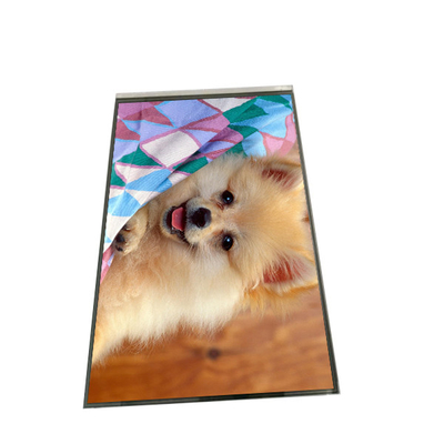 ভালো দাম AUO 8.0 ইঞ্চি LCD 800×1280 TFT LCD ডিসপ্লে B080EAK02.2 অনলাইন