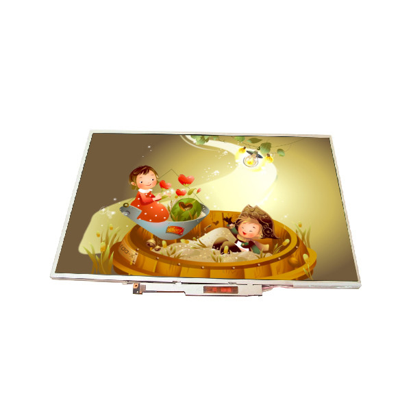 ল্যাপটপ LVDS LCD প্যানেল 15.4 ইঞ্চি B154EW08 V0 HW0A 1280x800 WXGA 98PPI রেজোলিউশন