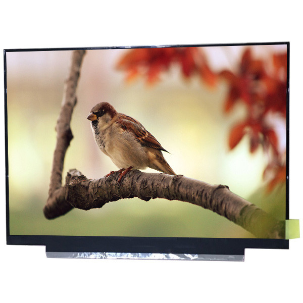 আসল A গ্রেড 11.6 ইঞ্চি G116HAN01.0 FHD 1920(RGB)×1080 IPS tft lcd স্ক্রিন প্যানেল