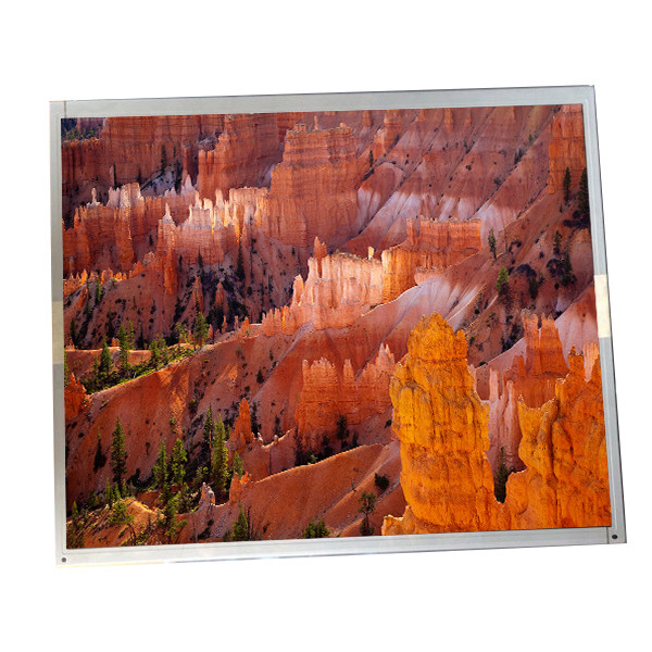 17 ইঞ্চি LCD মডিউল 1280(RGB)×1024 G170EG01 V0 শিল্প পণ্যে প্রয়োগ করা হয়েছে