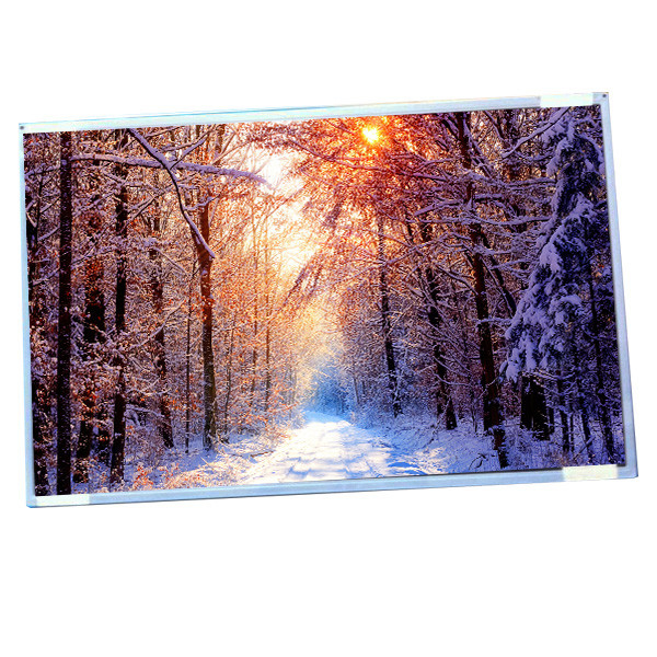 AUO ডিসপ্লে G220SW01 V0 22.0 ইঞ্চি IPS lcd চওড়া স্ক্রিন রেজোলিউশন 1680(RGB)×1050