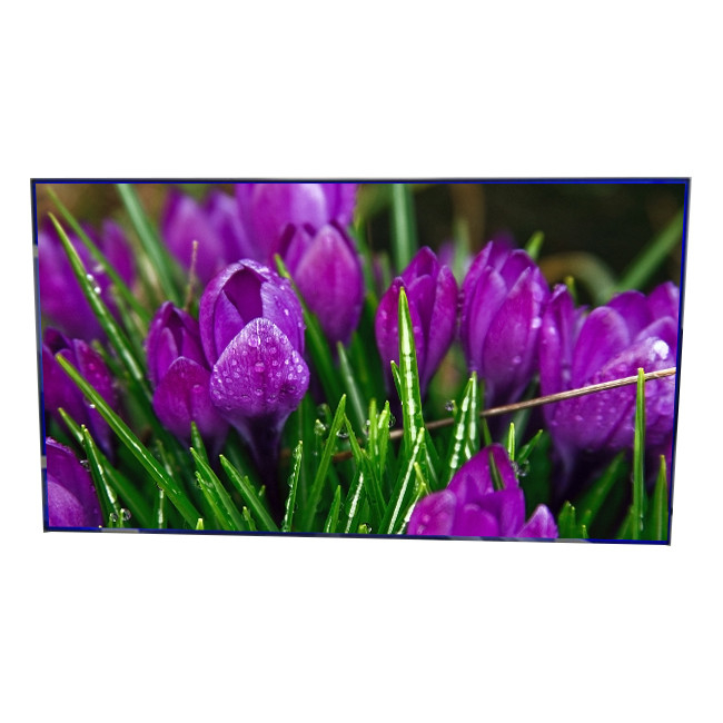 55.0 ইঞ্চি IPS LCD ডিসপ্লে LTI550HN12 SAMSUNG স্প্লিসিং স্ক্রীন ভিডিও ওয়ালের জন্য