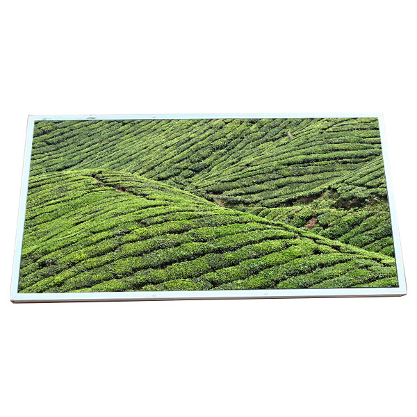 AIO PC এর জন্য 23 ইঞ্চি 30pin LVDS FHD WLED LCD মনিটর 72% NTSC LM230WF5-TLF11