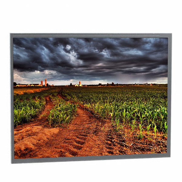 Kyocera 10.4 ইঞ্চি 1024*768 10.4 ইঞ্চি tft Lcd স্ক্রীন TCG104XGLPAPNN-AN40 এলসিডি প্যানেল