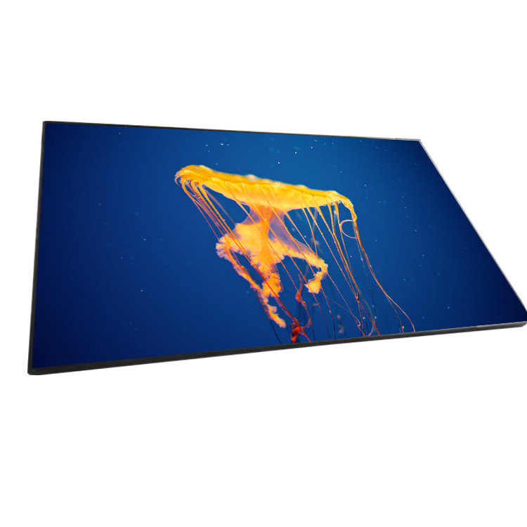 ডিজিটাল সাইনেজের জন্য LTY460JN12 অরিজিনাল 46 ইঞ্চি LED LCD ডিসপ্লে মডিউল প্যানেল