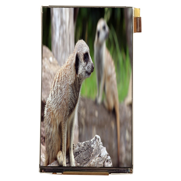 LQ055K3SX02 5.5 ইঞ্চি এলসিডি মডিউল ইন্টারফেস 720 * 1280 গাড়ি প্রদর্শনের জন্য এলসিডি স্ক্রিন