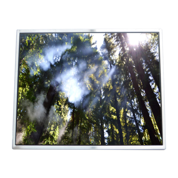 LTM190M2-L01 এলসিডি প্রদর্শন 19.0 ইঞ্চি স্ক্রিন LVDS 30 পিন সংযোগকারী এলসিডি মডিউল