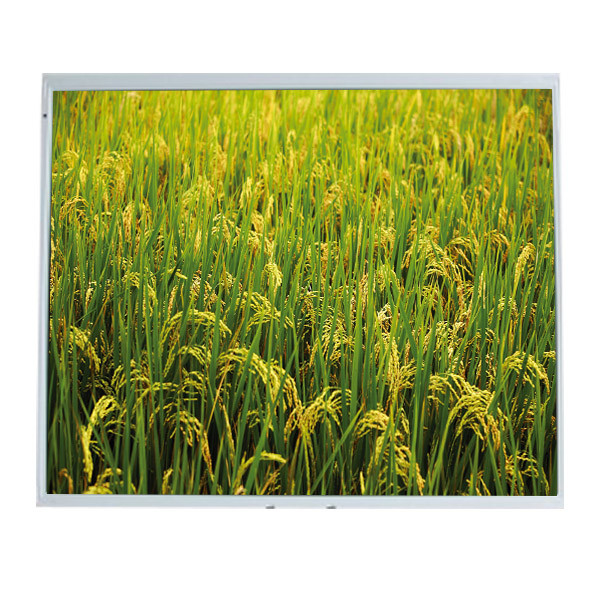 LM170E04-TLB2 ডেস্কটপ মনিটরের জন্য 17.0 ইঞ্চি 1280 * 1024 এলসিডি প্যানেল মডিউল