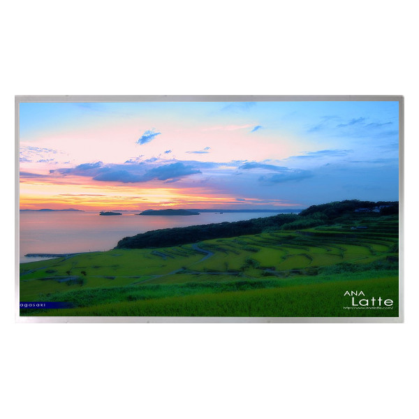 LM230W01-A2 23.0 ইঞ্চি এ-সি টিএফটি-এলসিডি প্যানেল 1920*1200 এলসিডি স্ক্রিন