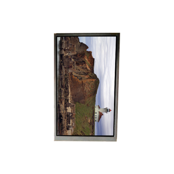 BS055FHE-E35-6Q00 5.5 ইঞ্চি এলসিডি প্রদর্শন এলসিডি স্ক্রিন প্যানেল মোবাইল ফোনের জন্য