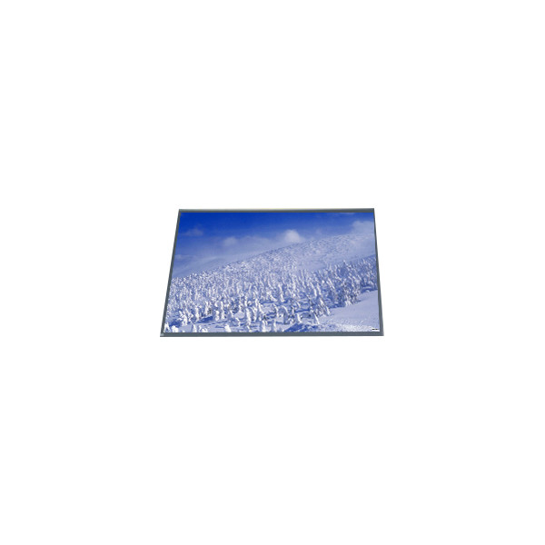 LB060S01-RD02 6.0 ইঞ্চি 39 পিন ই-বুক রিডার জন্য এলসিডি প্যানেল