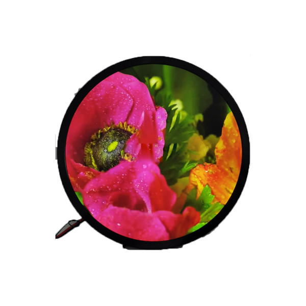 23.6 ইঞ্চি 1280*1280 DV236FBM-N00 1500 cd/m2 LCD Screen For Round Display