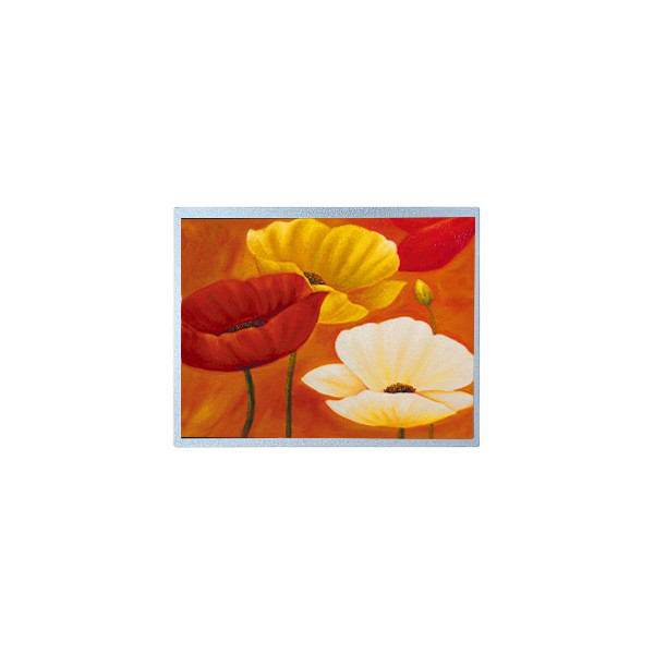 AM-1024768QTMQW-00H 15.0 ইঞ্চি 1024*768 20 পিন টিএফটি এলসিডি স্ক্রিন প্যানেল