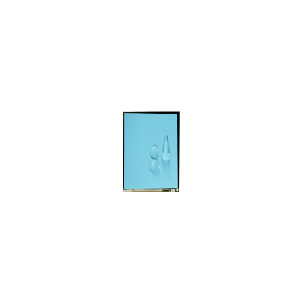 LS060B1SX01 6.0 ইঞ্চি এলসিডি স্ক্রিন 1080*2160 1500 Cd/M2 এলসিডি টাচ স্ক্রিন