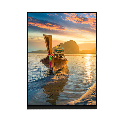 ভালো দাম 7.9 ইঞ্চি 1536×2048 LCD স্ক্রীন ডিসপ্লে প্যানেল LQ079L1SX01 IPad Mini 2 3 এর জন্য অনলাইন