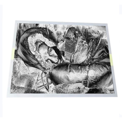 ভালো দাম CNC মেশিন LCD স্ক্রিন প্যানেল 15.0 ইঞ্চি RGB 1024X768 NL10276AC30-45D অনলাইন