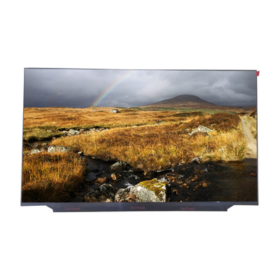 ভালো দাম RGB 1920×1080 60Hz ল্যাপটপ LED LCD স্ক্রীন 17.3 ইঞ্চি LM173LF1F01 অনলাইন