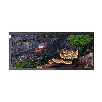 ভালো দাম মোটরগাড়ি প্রদর্শনের জন্য 12.3 ইঞ্চি HSD123KPW2-A10 50 পিন এলসিডি স্ক্রিন প্যানেল ডিসপ্লে অনলাইন