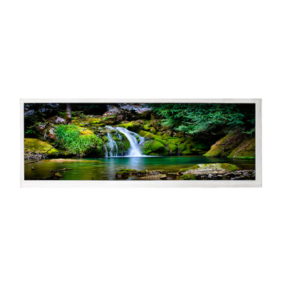 ভালো দাম 10.3 ইঞ্চি 1920*720 LCD ডিসপ্লে স্ক্রীন প্যানেল HSD103JPW2-A00 অনলাইন