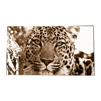 ভালো দাম আসল LG LCD ভিডিও ওয়াল প্যানেল LD550DUS-SEF1 1920*1080 রেজোলিউশন অনলাইন