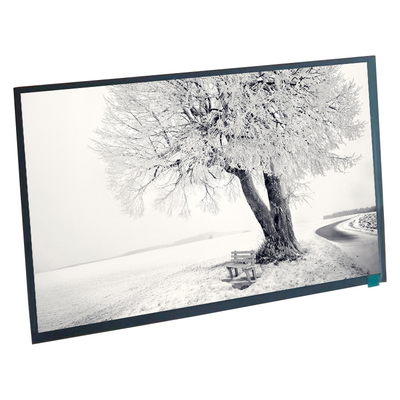 ভালো দাম চিকিৎসা শিল্পের জন্য 10.1 ইঞ্চি LVDS 45 পিন BOE LCD স্ক্রীন ডিসপ্লে প্যানেল অনলাইন