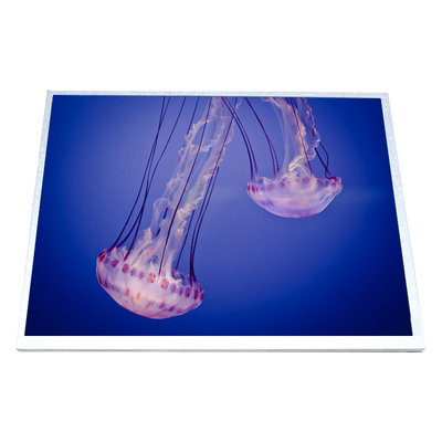 ভালো দাম HSD100IXN1-A10 এলসিডি স্ক্রিন 10.0 ইঞ্চি এলসিডি প্যানেল অনলাইন