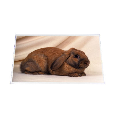 ভালো দাম B140RW03 V1 14.0 ইঞ্চি 1600 * 900 এলসিডি স্ক্রিন প্যানেল অনলাইন