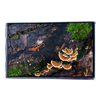 ভালো দাম VVX07H005A00 7.0 ইঞ্চি 450 cd/m2 এলসিডি স্ক্রিন ডিসপ্লে প্যানেল অনলাইন