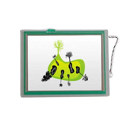 ভালো দাম TCG075VGLEAAFA-GA00 7.5 ইঞ্চি 640*480 এলসিডি স্ক্রিন ডিসপ্লে মডিউল কিওসেরার জন্য অনলাইন