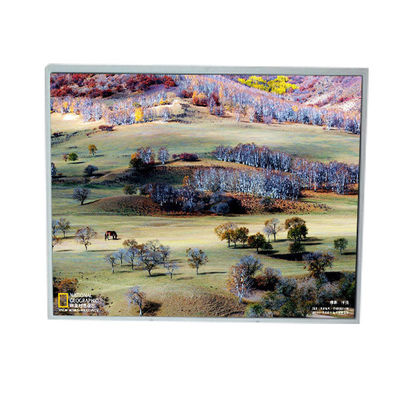 ভালো দাম LM200WD1-TLA9 20.0 ইঞ্চি 1600 * 900 টিএফটি এলসিডি ডিসপ্লে অনলাইন