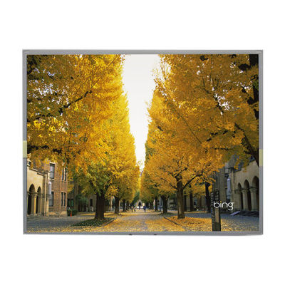 ভালো দাম LM2013-WETLB1 20.1 ইঞ্চি এলসিডি স্ক্রিন 1680*1050 এলসিডি ডিসপ্লে অনলাইন