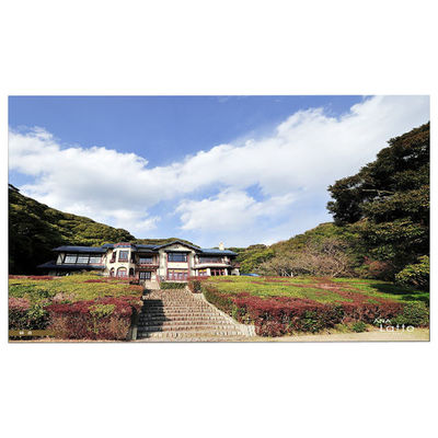 ভালো দাম LM215WFA-SSE1 টাচ এলসিডি স্ক্রিন 1920*1080 FHD For Lenovo 01AG987 অনলাইন