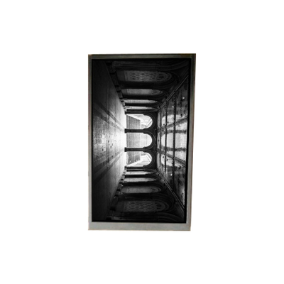 ভালো দাম BS055FHE-L30-6Q01 5.5 ইঞ্চি এলসিডি প্রদর্শন এলসিডি স্ক্রিন প্যানেল মোবাইল ফোনের জন্য অনলাইন
