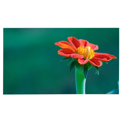 ভালো দাম LM315WR6-SSA2 এলসিডি ডিসপ্লে আইপিএস Dell U3223QE এর জন্য অনলাইন