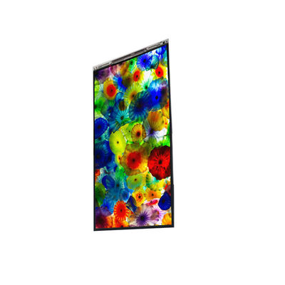 ভালো দাম BS060WKE-LB0-6Q00 6.0 ইঞ্চি এলসিডি প্রদর্শন এলসিডি স্ক্রিন প্যানেল মোবাইল ফোনের জন্য অনলাইন