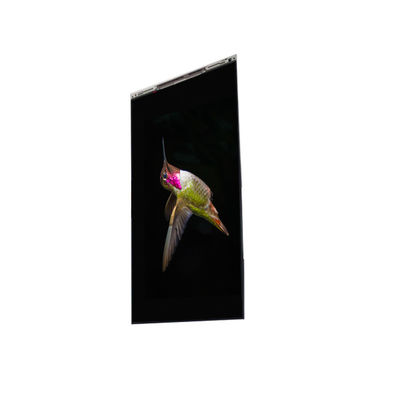 ভালো দাম BS062FBE-L30-6Q00 6.3 ইঞ্চি এলসিডি প্রদর্শন এলসিডি স্ক্রিন প্যানেল মোবাইল ফোনের জন্য অনলাইন