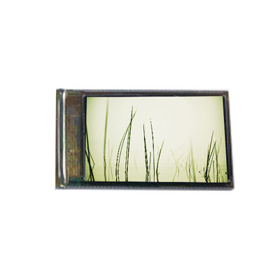 ভালো দাম বিটিআই-১০৫১১১১১১১১১১১১১১১১১১১১১১১১১১১১১১১১১১১১১১১ অনলাইন