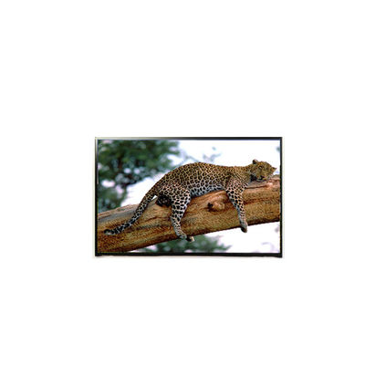 ভালো দাম LP141WP1-TLE6 14.1 ইঞ্চি 60Hz এলসিডি প্যানেল 1440*900 এলসিডি স্ক্রিন অনলাইন