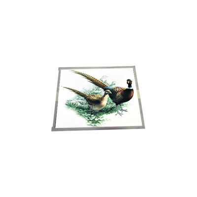 ভালো দাম 15.0 ইঞ্চি LQ150X1DG11B TFT-LCD স্ক্রিন ডিসপ্লে প্যানেল অনলাইন
