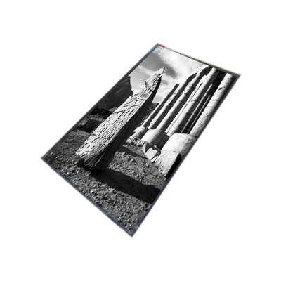 ভালো দাম LM151X1 15.1 ইঞ্চি 1024*768 এলসিডি ডিসপ্লে স্ক্রিন ডেস্কটপ মনিটরের জন্য অনলাইন